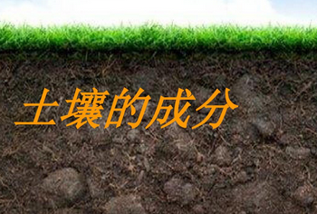 土壤有效磷的測(cè)定方法